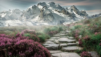 Wie wirkt sich künstliche Intelligenz auf unsere Gesundheitsversorgung aus?